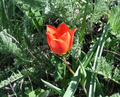 Прикрепленное изображение: 310.jpg